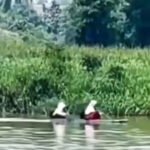 Anak-anak sekolah menyeberangi sungai dengan perahu kayu di Tanjung Selor Kaltara